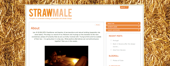 Straw Male | Richard Hawkins